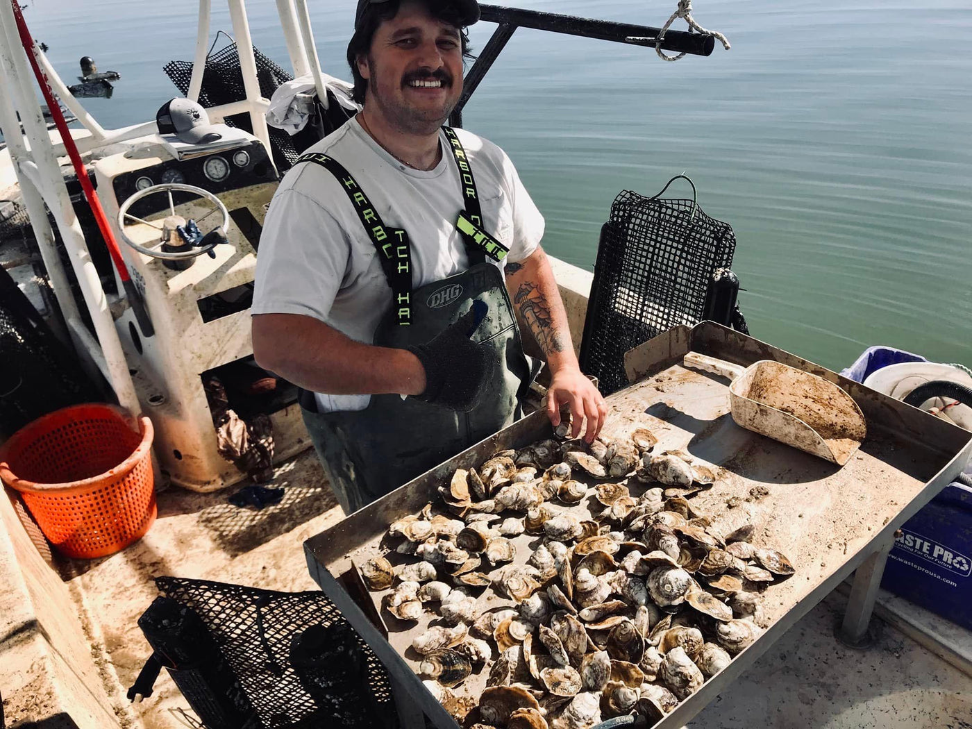 Hand picked 100% traceable oysters